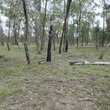 Image 14