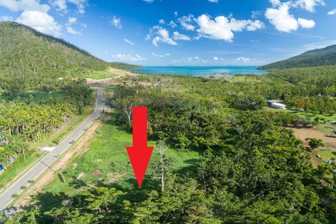 Picture of 59 Jasinique Drive, WHITSUNDAYS QLD 4802