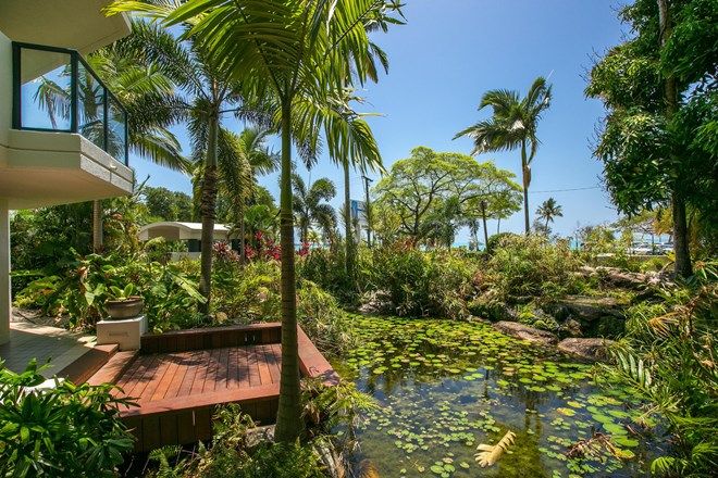 358 Apartments For Sale In Cairns North Qld 4870 Domain