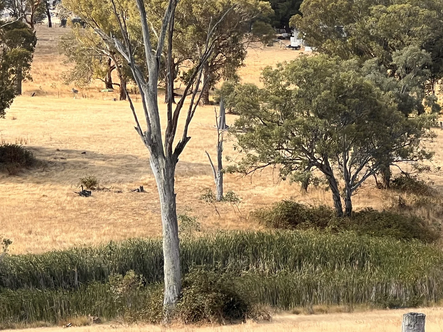 Additional image 17 of Lot 241 Hearn Street, Bigga NSW 2583