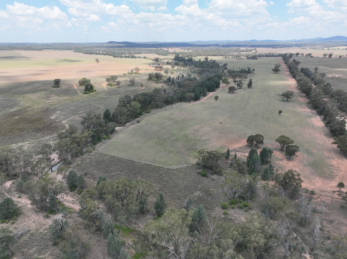 Image 14