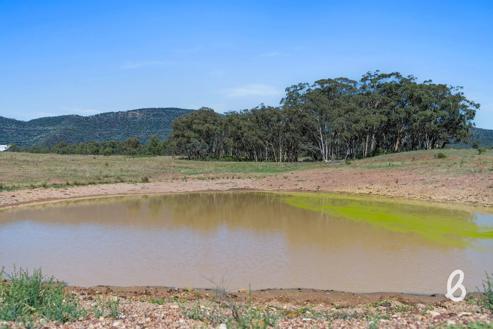 Additional image 8 of Lot 12 Redmanvale Road, Jerrys Plains NSW 2330