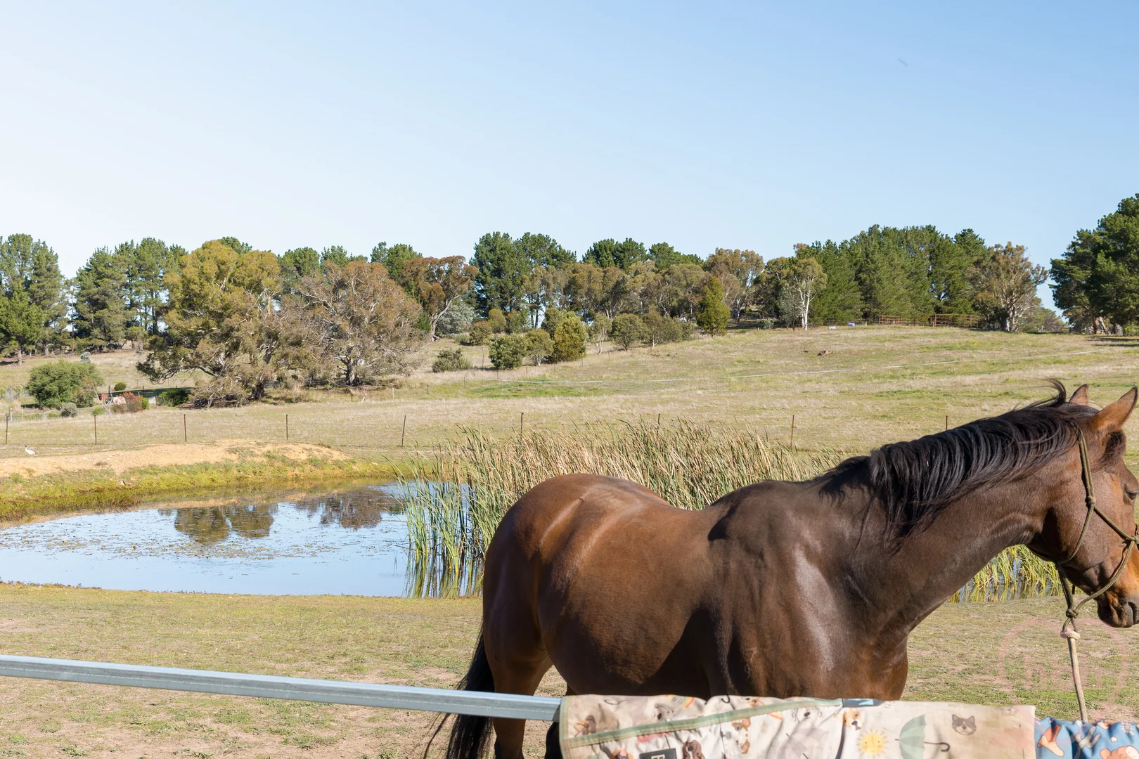 Additional image 33 of 1181 Bungendore Road, Bywong NSW 2621