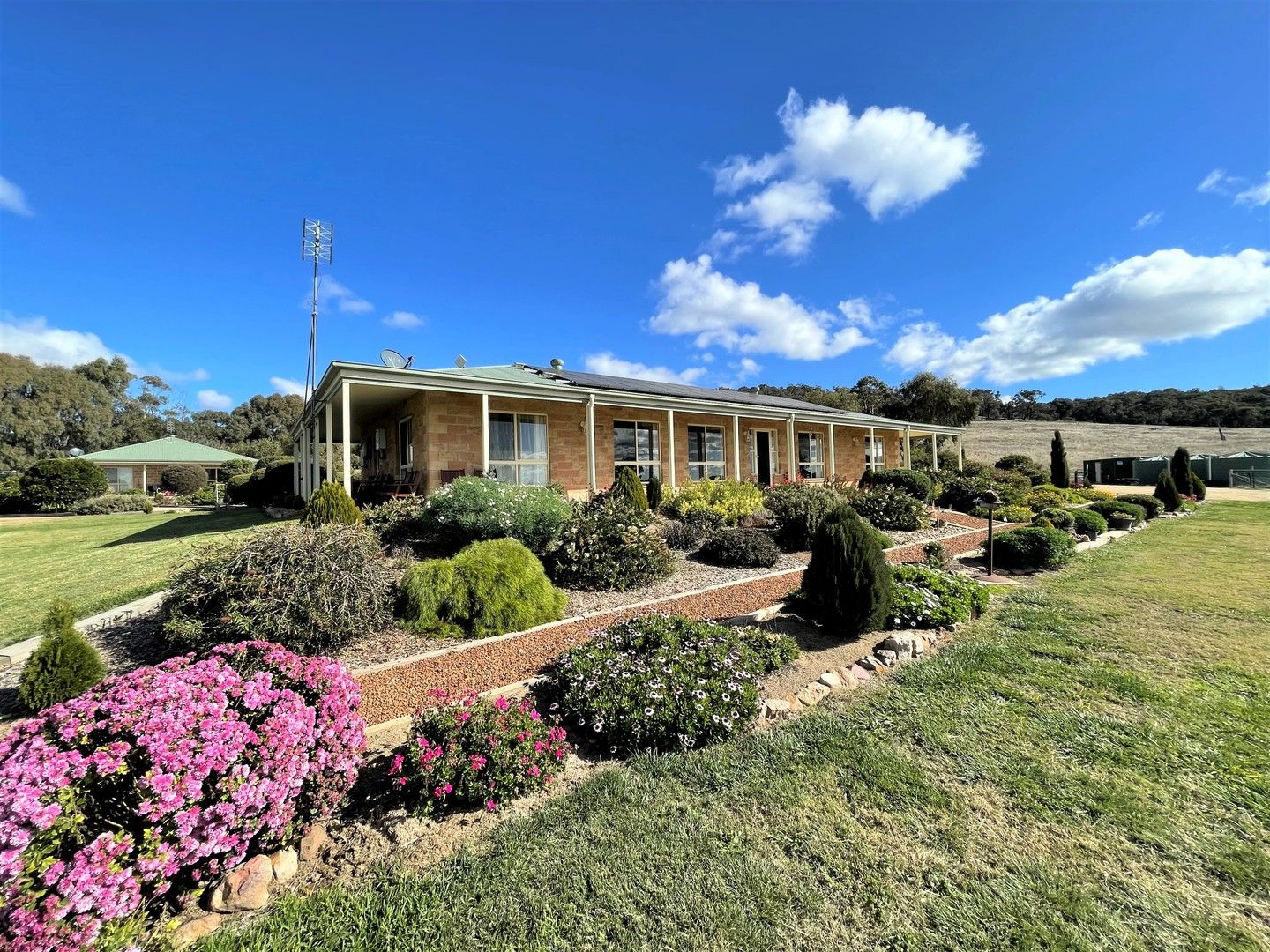5 bedrooms Rural in 3374 Murringo Road YOUNG NSW, 2594