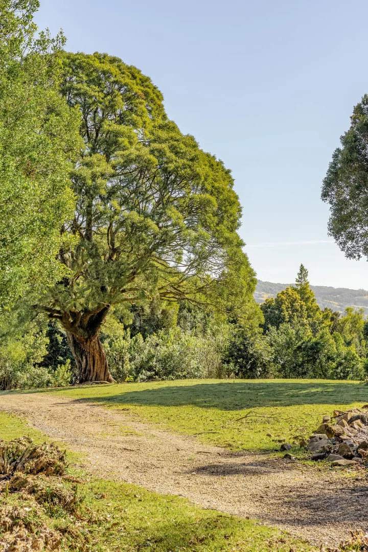 Additional image 15 of 1510 Jamberoo Mountain Road, Jamberoo NSW 2533