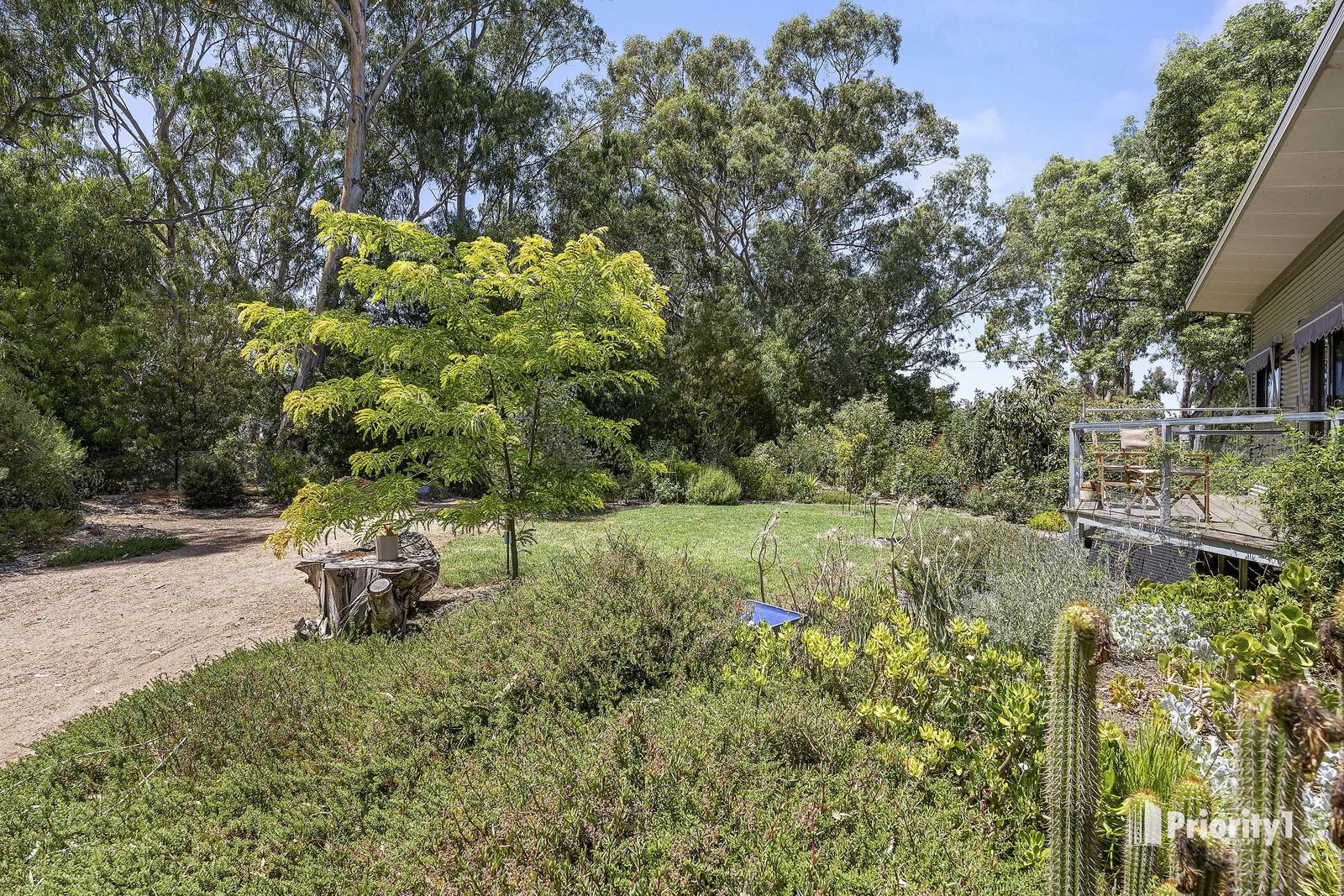 Image 12