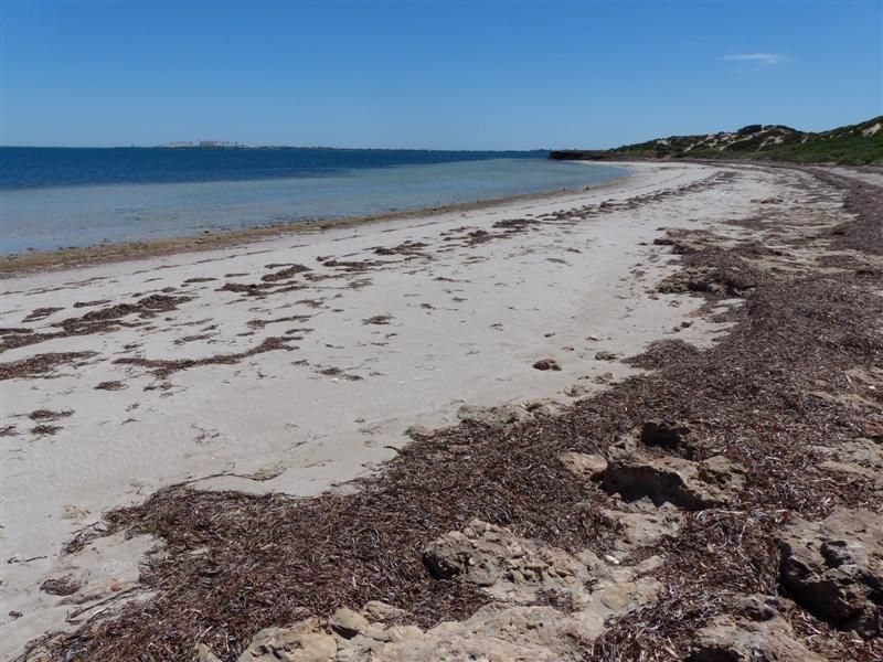 Lot 284 Bosanquet Boulevard, Ceduna SA 5690, Image 2