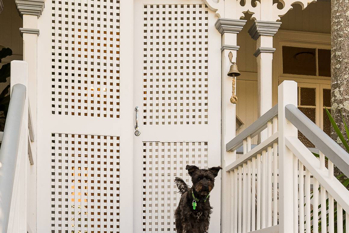 92 Monmouth Street Morningside 4170 - Image 3