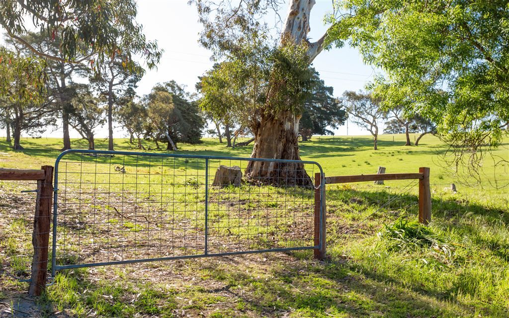 Lot 52 Parsons Road, Inman Valley SA 5211, Image 0