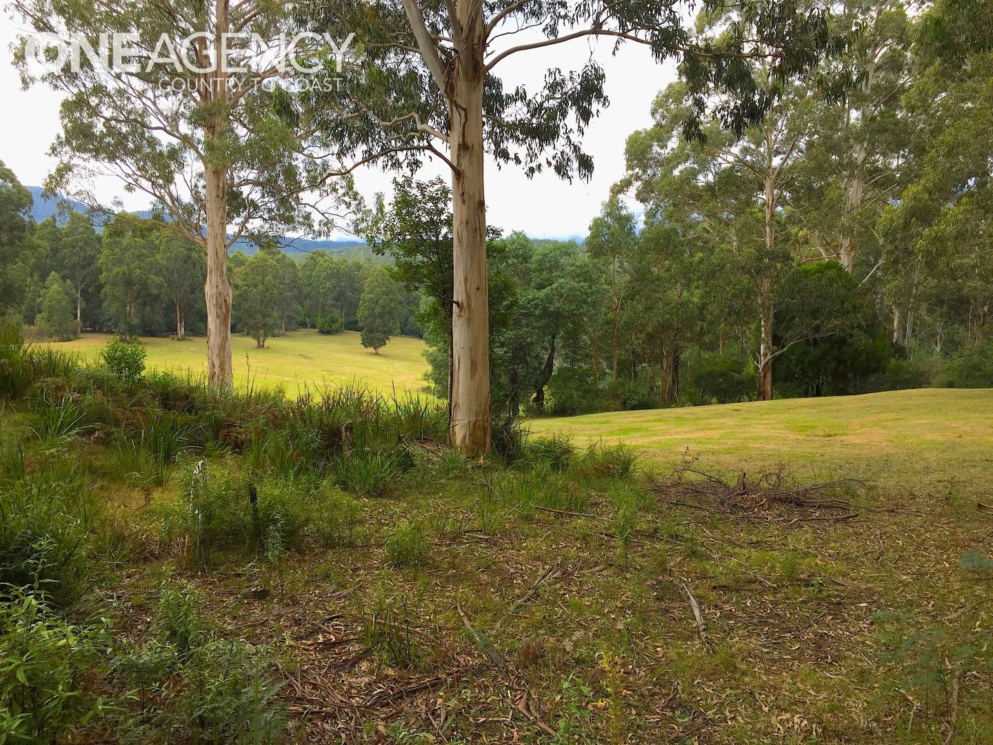 15/2260 Mt Baw Baw Tourist Road, Icy Creek VIC 3833, Image 1