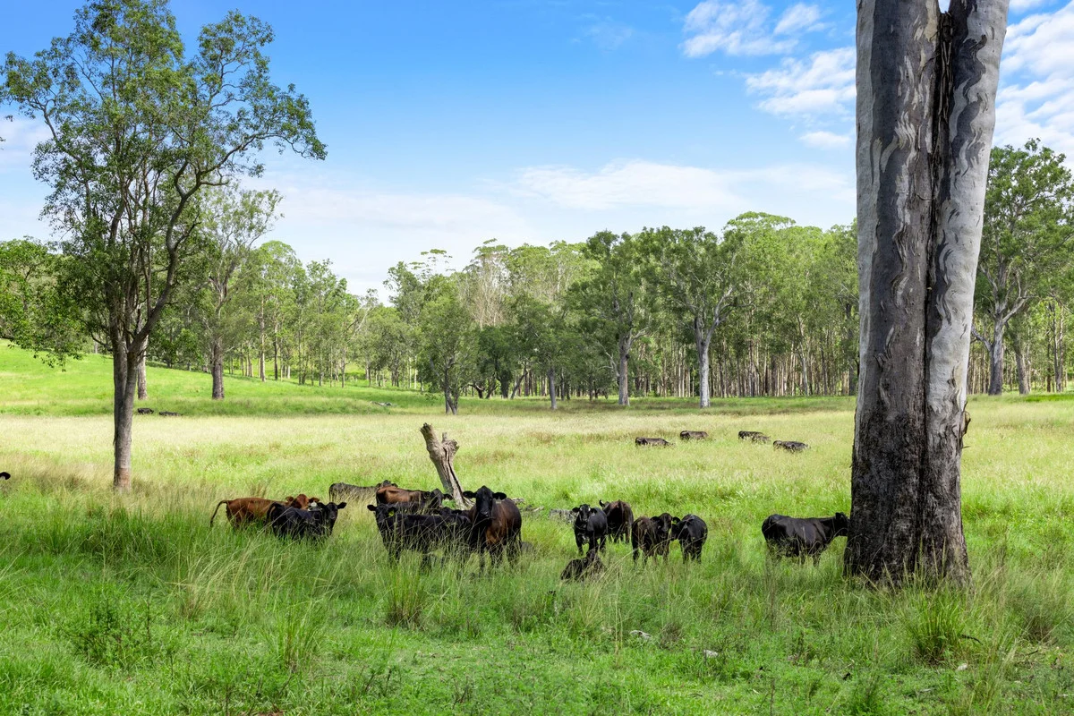 Additional image 16 of 760 Old Dyraaba Road, Woodview NSW 2470