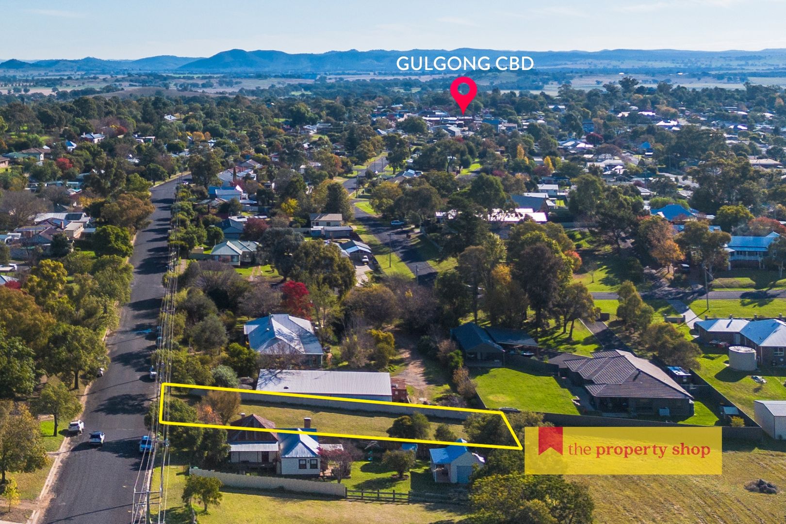 28 Mayne Street, Gulgong NSW 2852, Image 1