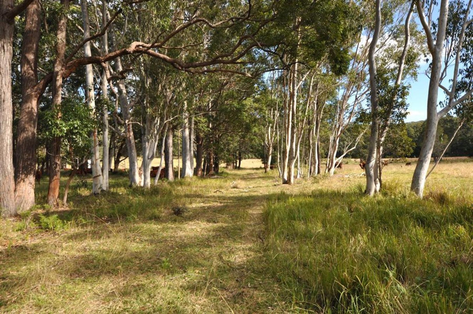 Lot 1 Gumma Road, Gumma NSW 2447, Image 2