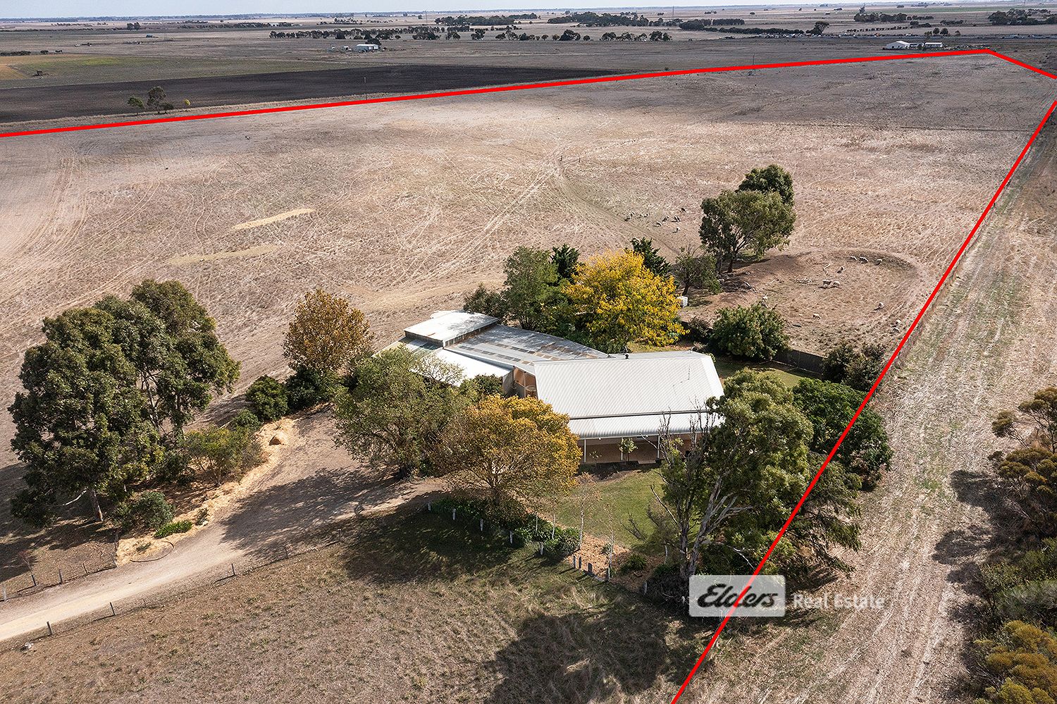 78 Cartwrights Road, Naracoorte SA 5271 House for Sale Domain