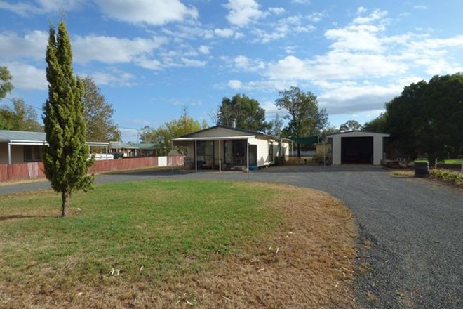 Picture of 23 Evelyn Street, EUGOWRA NSW 2806