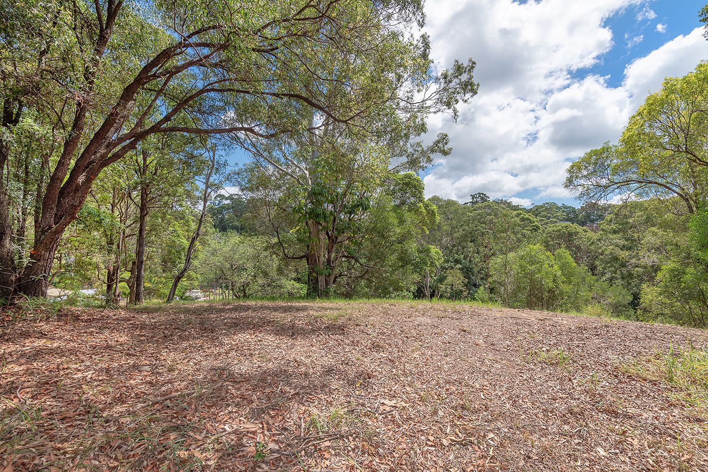 15 Smiths Road, Tinbeerwah QLD 4563, Image 2