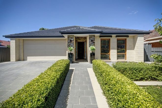 Picture of 42 Allinga Avenue, GLENSIDE SA 5065