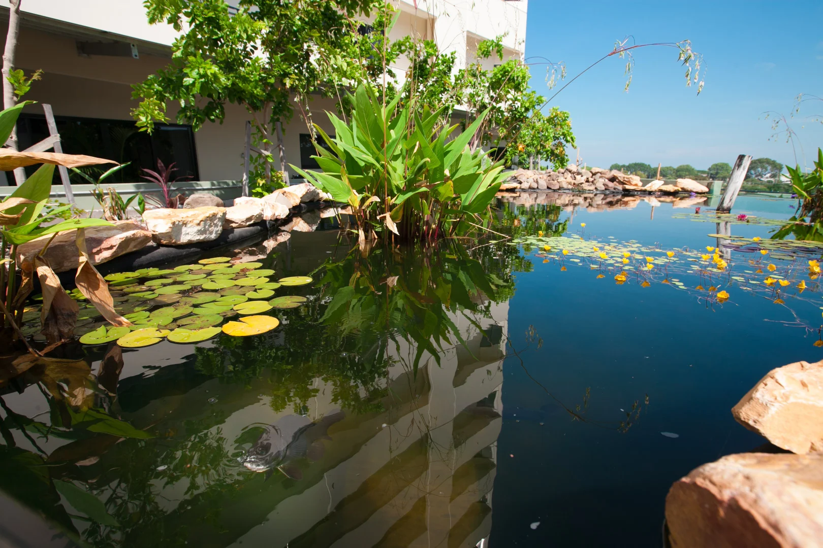 Additional image 12 of 386/12 Salonika Street, Parap NT 0820