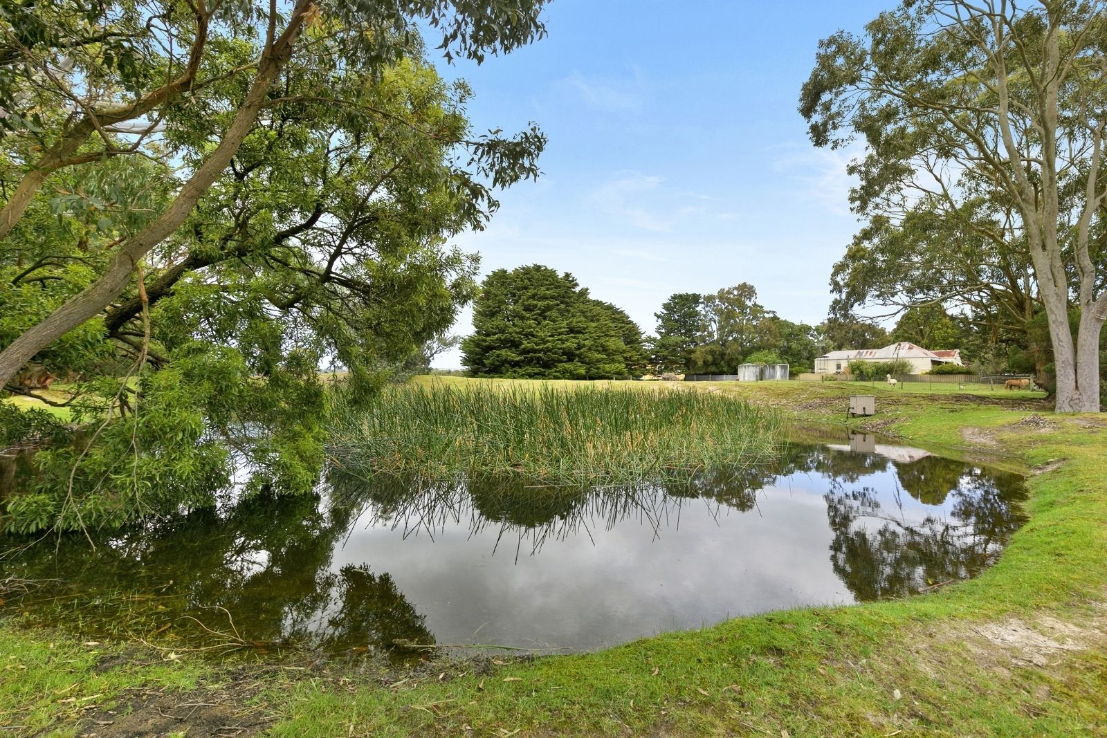 1125 Winchelsea - Deans Marsh Road, Bambra VIC 3241, Image 1