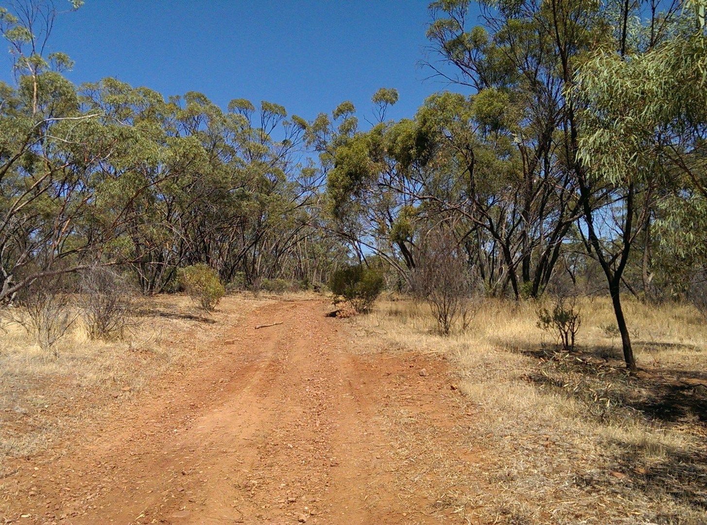 Lot 694 Kleinigs Road, Stone Hut SA 5480, Image 0