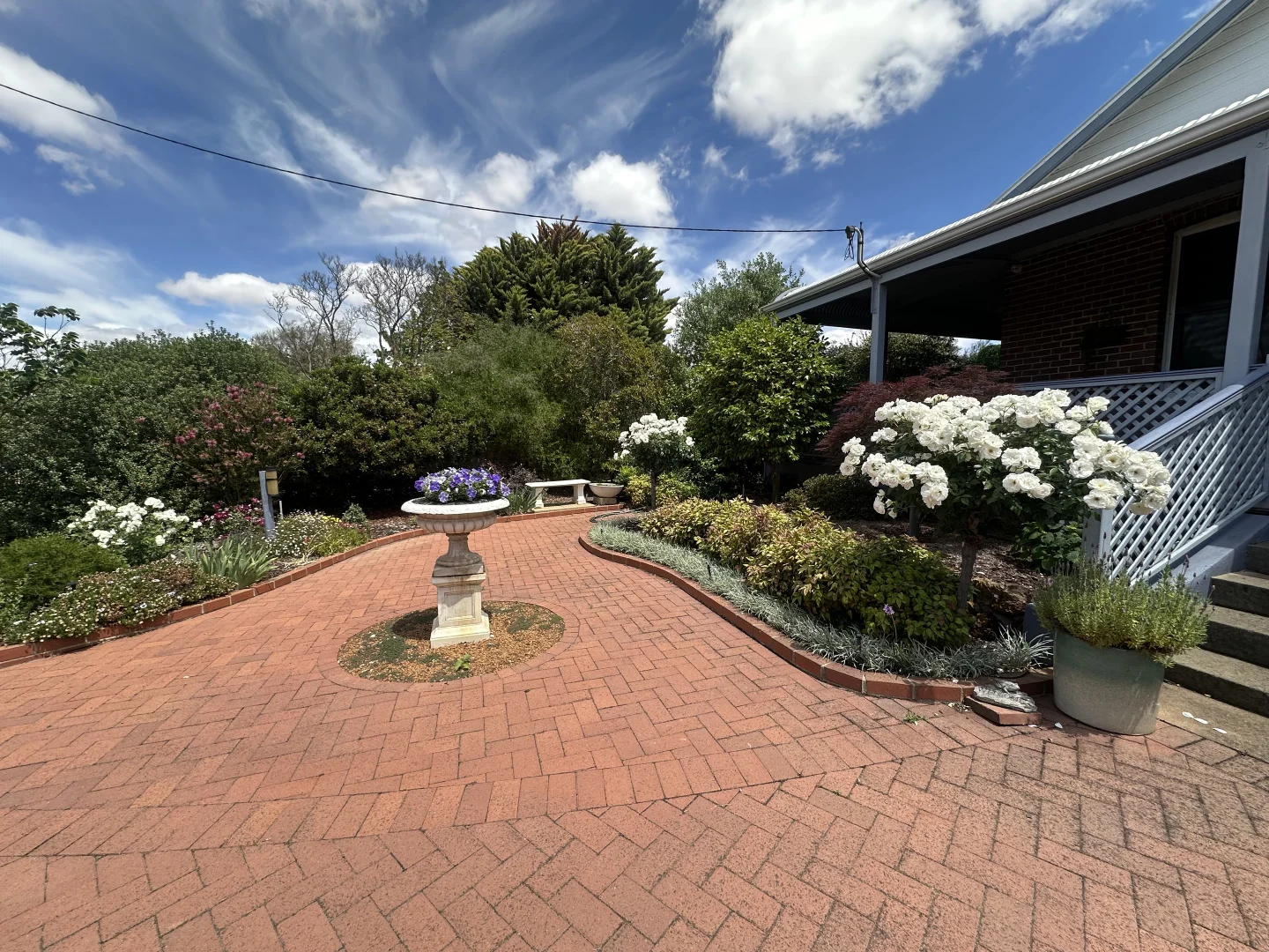 Image 29