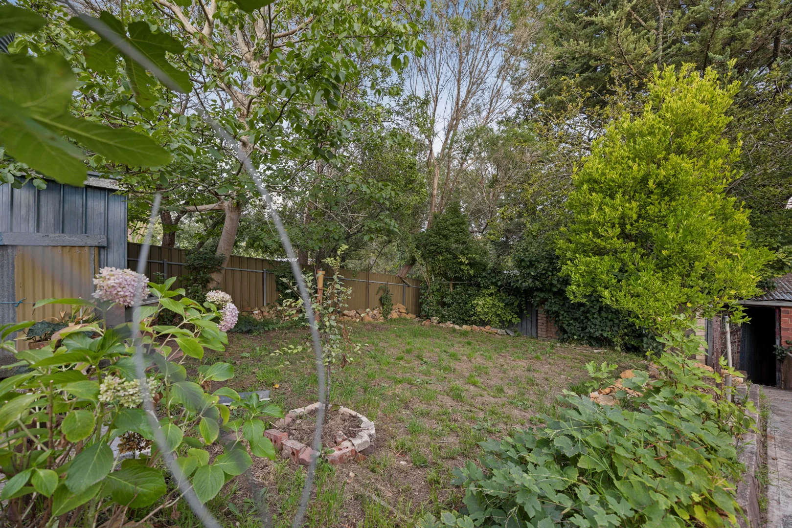 Image 24