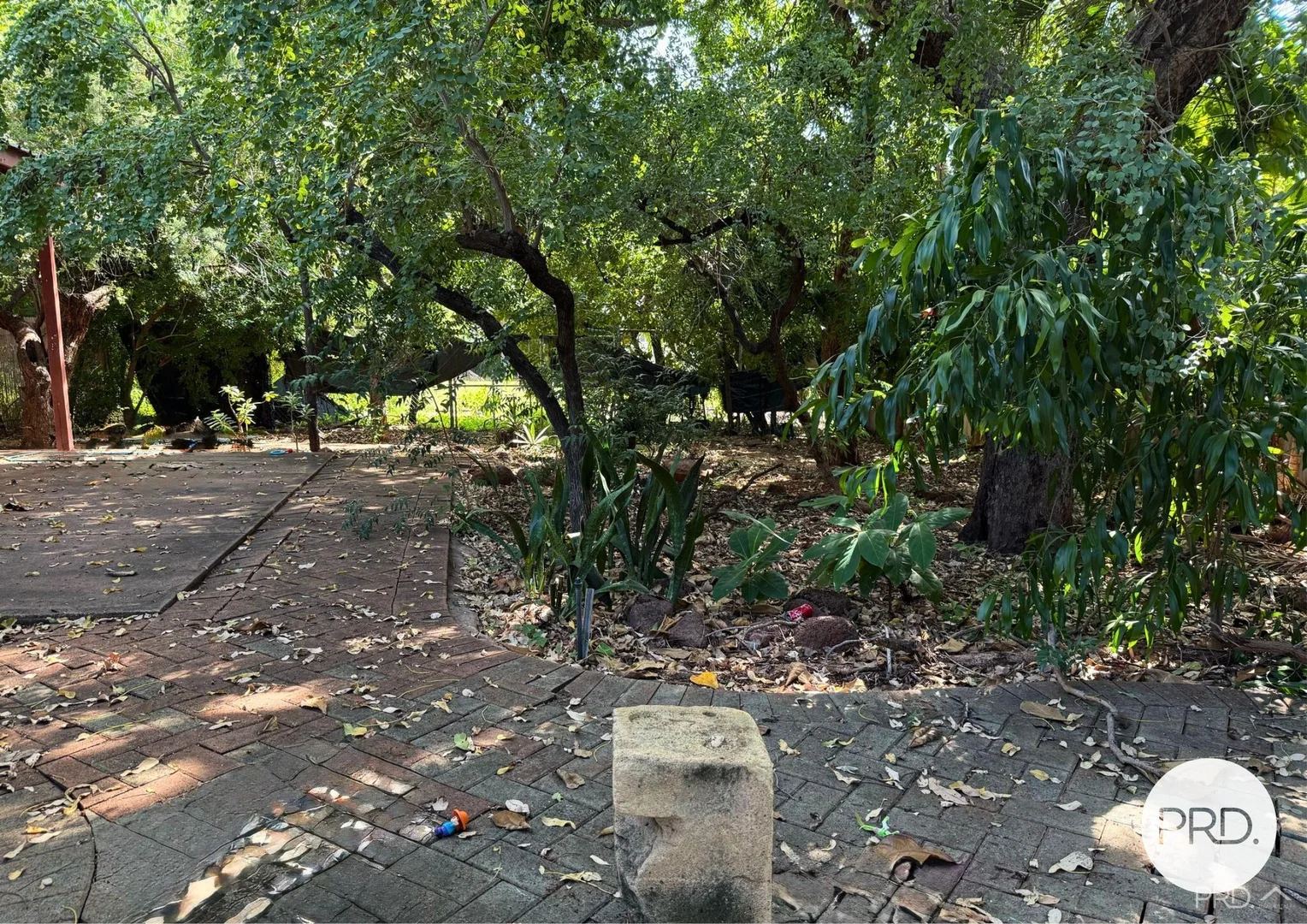 Image 20