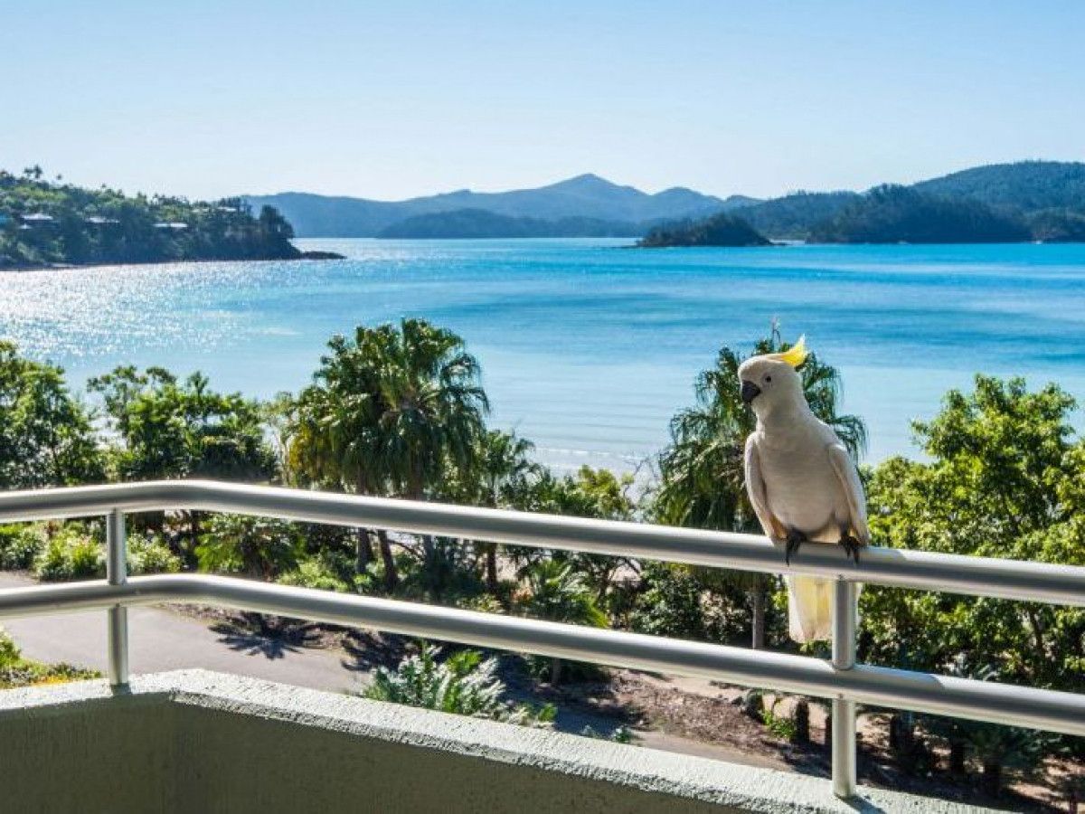 Lagoon 207/18 Resort Drive, Hamilton Island QLD 4803, Image 0