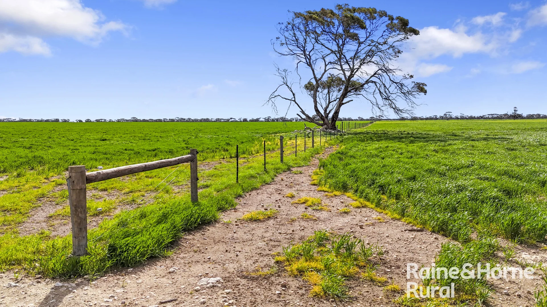 Additional image 8 of 714 Buccleuch South Road, Yumali SA 5261