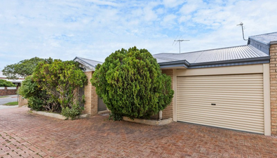 Picture of 34A Mcmillan Street, VICTORIA PARK WA 6100
