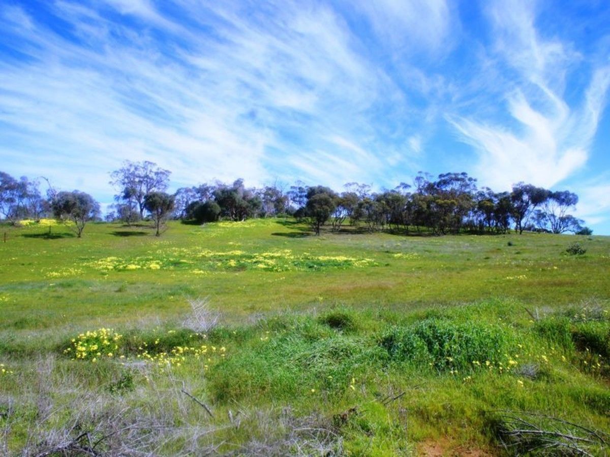 Lot 411 Mattschoss Road, Daveyston SA 5355, Image 0