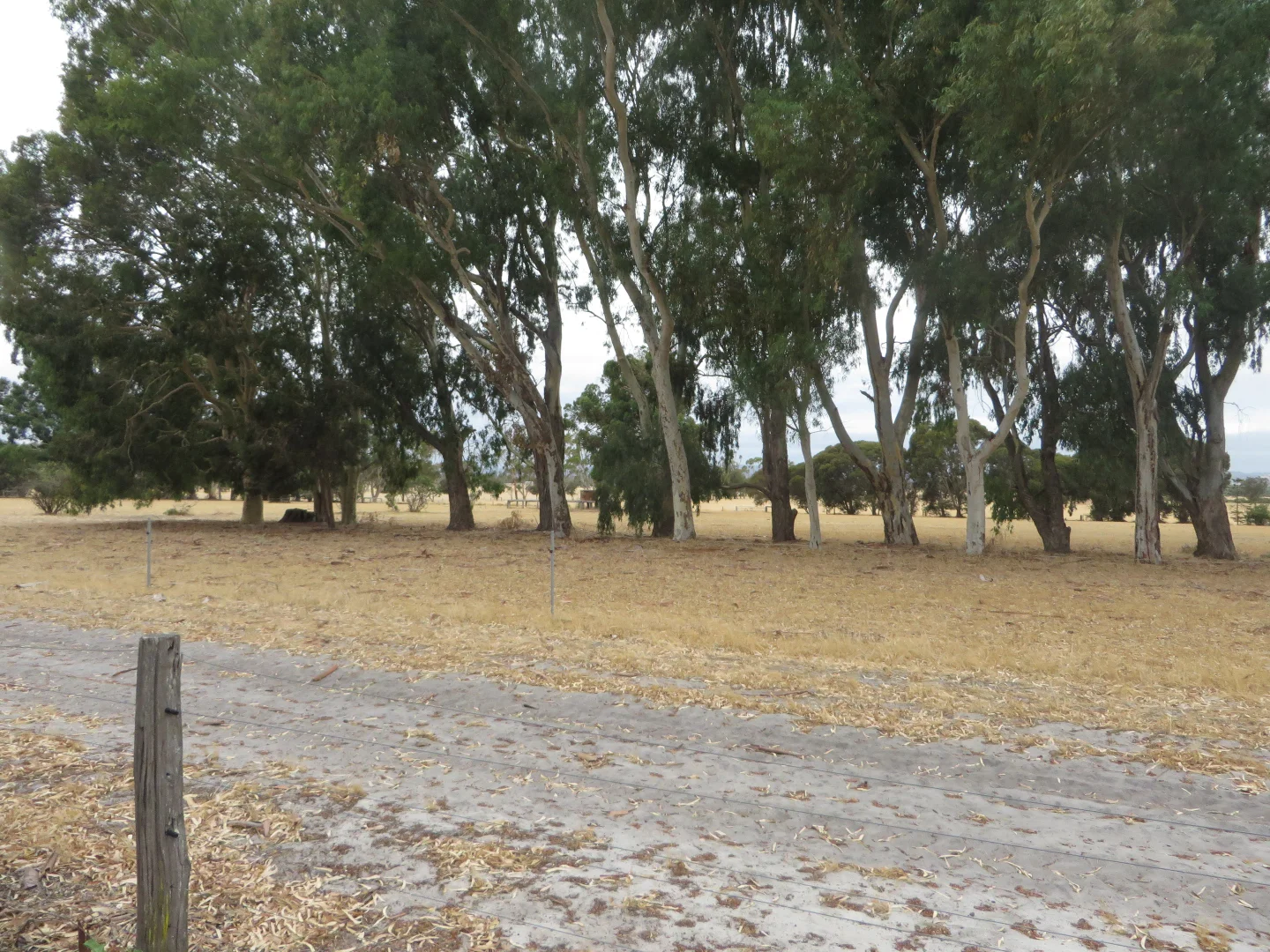 Additional image 18 of Buller Road, Waroona WA 6215