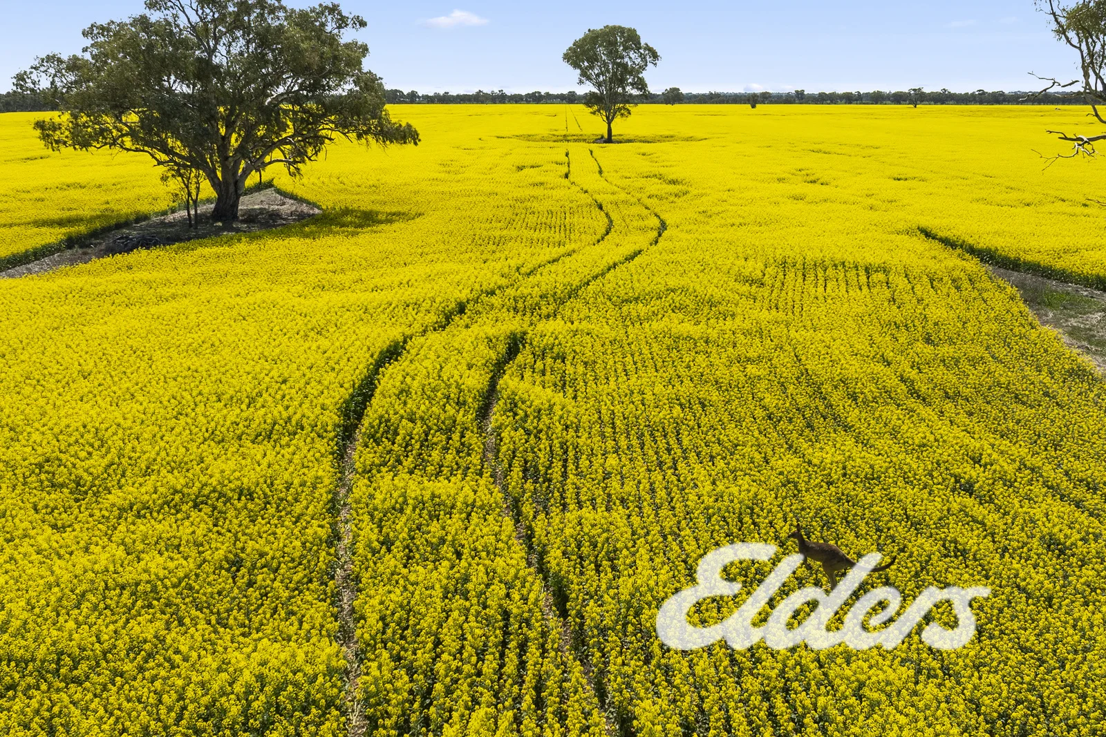 Additional image 34 of 235 Clearview Road, Savernake NSW 2646