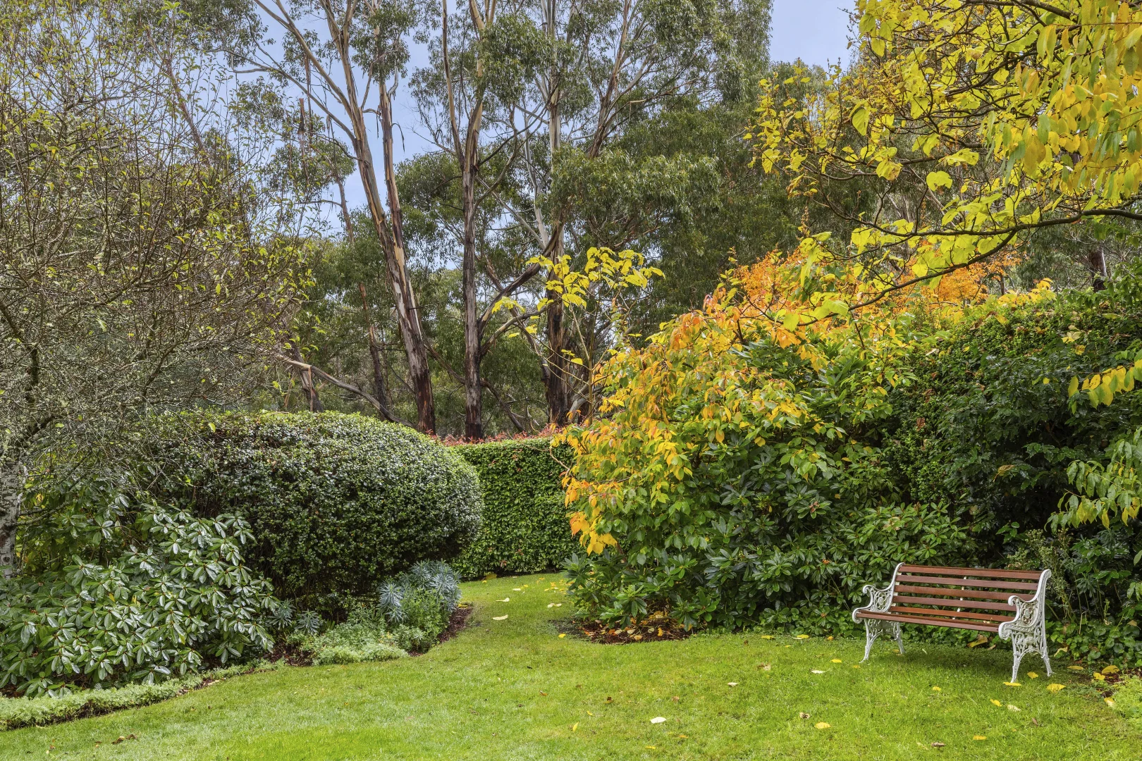 Image 20