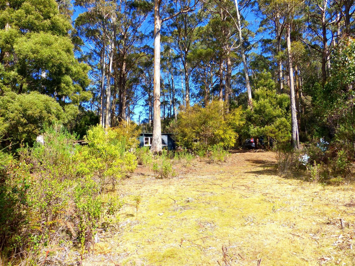 562 German Town Rd, St Marys TAS 7215, Image 1