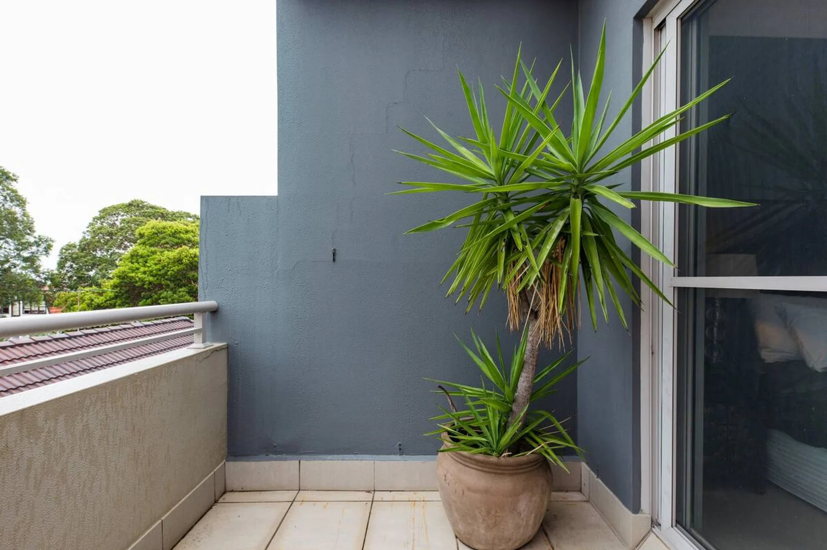 Additional image 18 of Unit 9/88 Wellington Street, Bondi Beach NSW 2026