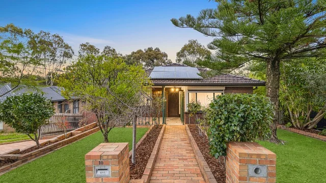 10 Morton Street, Box Hill South VIC 3128