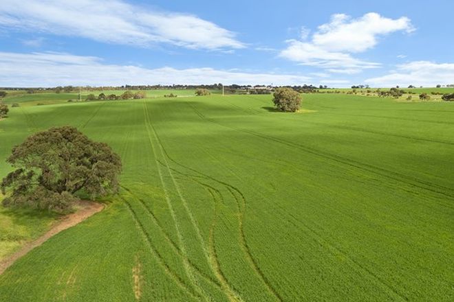 Picture of 'Kingsford Block' - Lot 508 Sturt Highway, KINGSFORD SA 5118