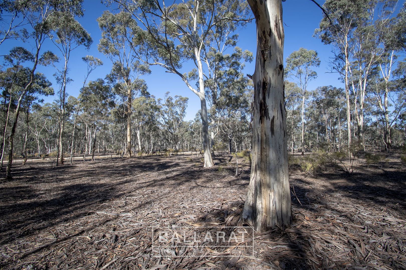 LOTS/100 12,13,14, 15a Of 100 Queens Birthday Mine Road Goldsborough, Dunolly VIC 3472, Image 2