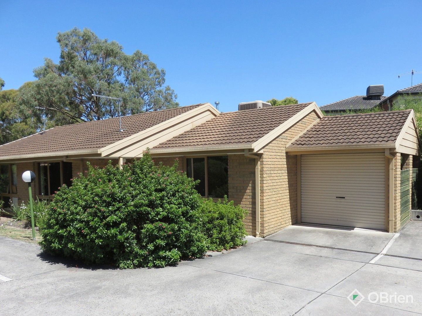 15/12 John Street, Blackburn VIC 3130 Apartment For Rent Domain