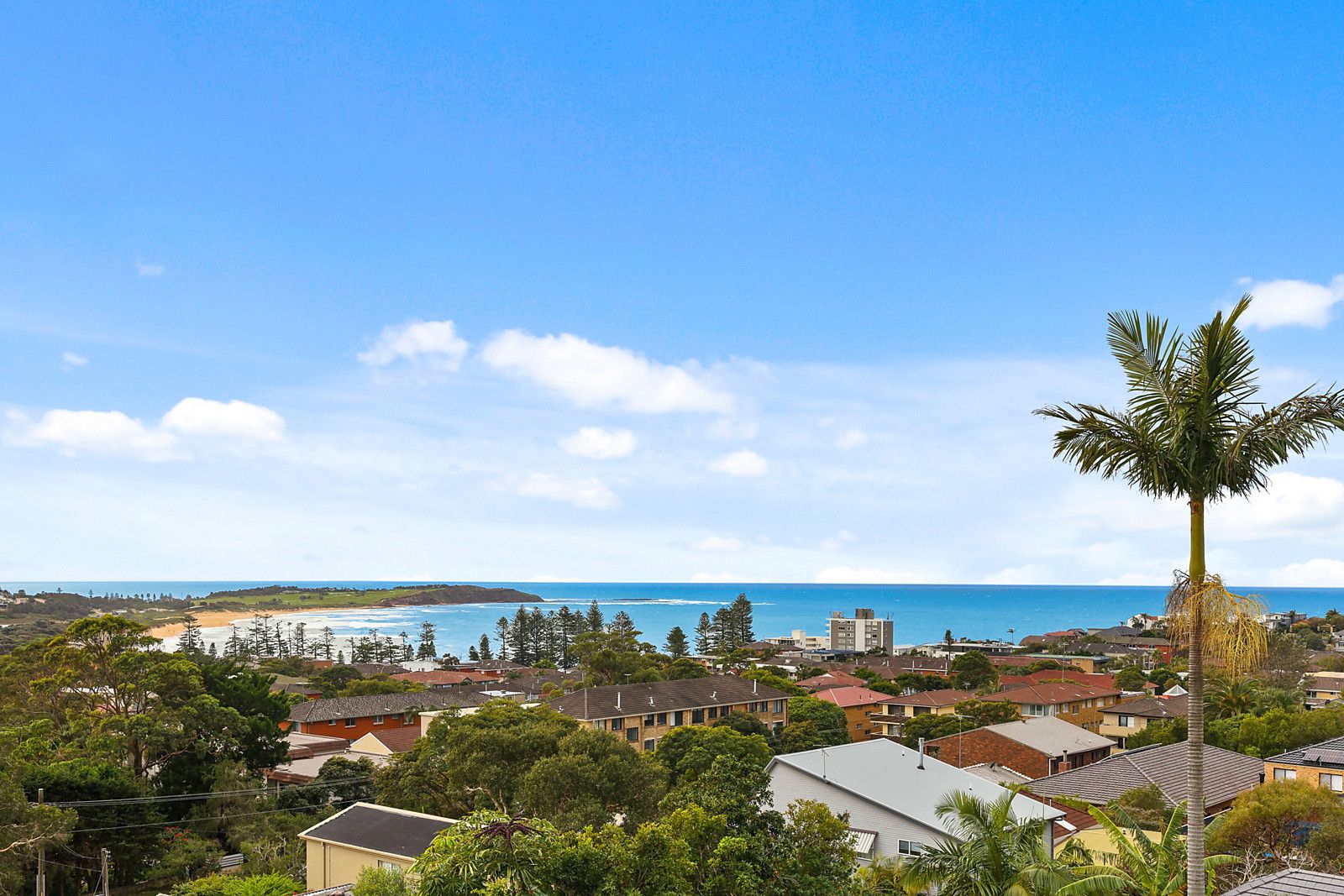 49 Bushey Place, Dee Why NSW 2099, Image 0