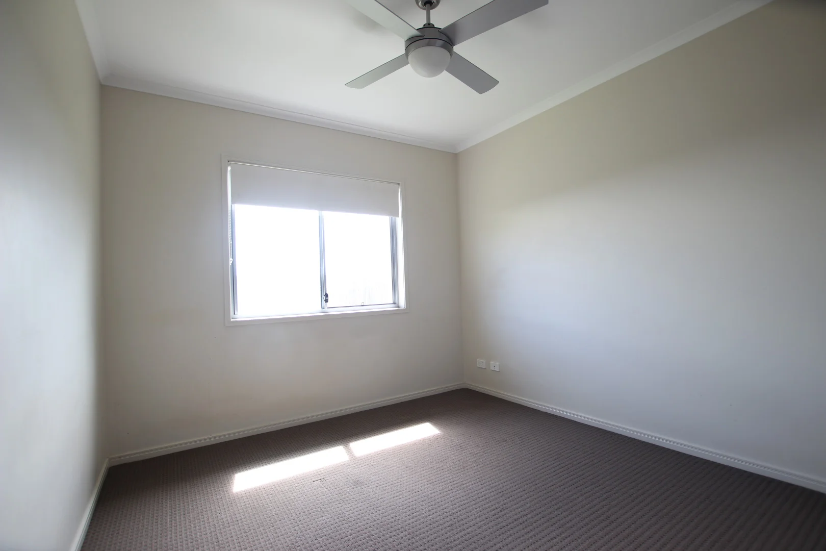 Additional image 10 of 7 Kauri Cres, Peregian Springs QLD 4573