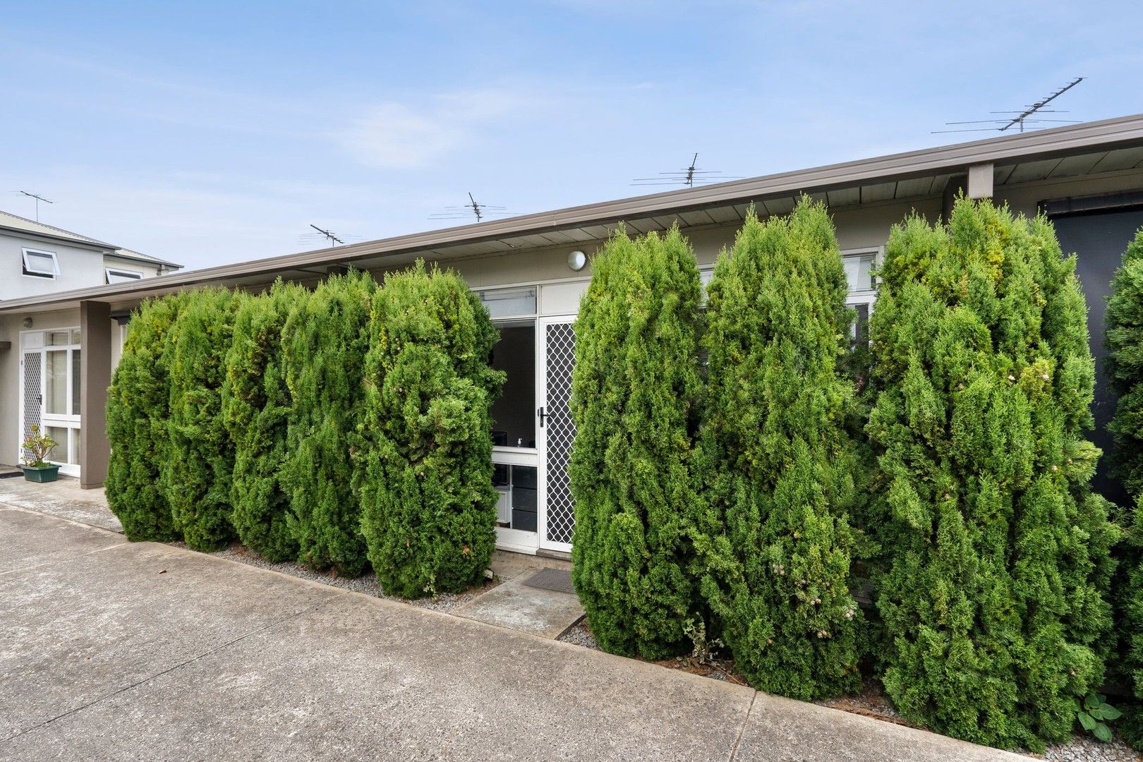 1 bedrooms House in 4/29 Knight Avenue HERNE HILL VIC, 3218