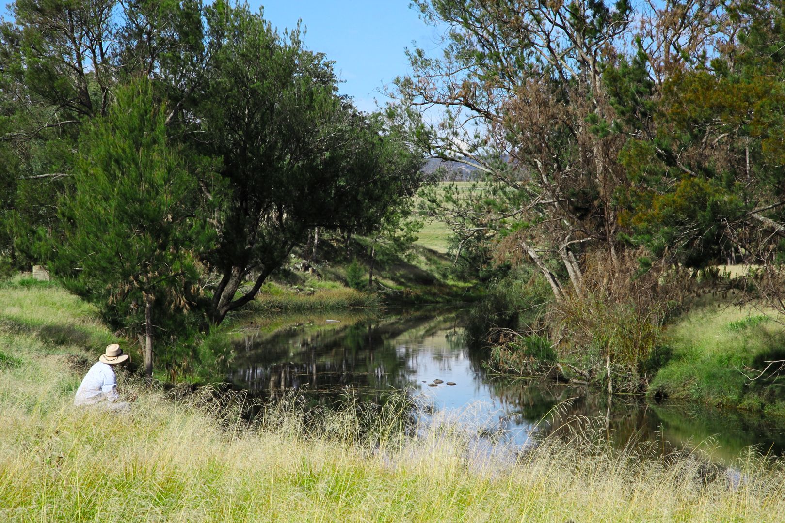 77 Tarban Loop Road, Tenterfield NSW 2372, Image 1