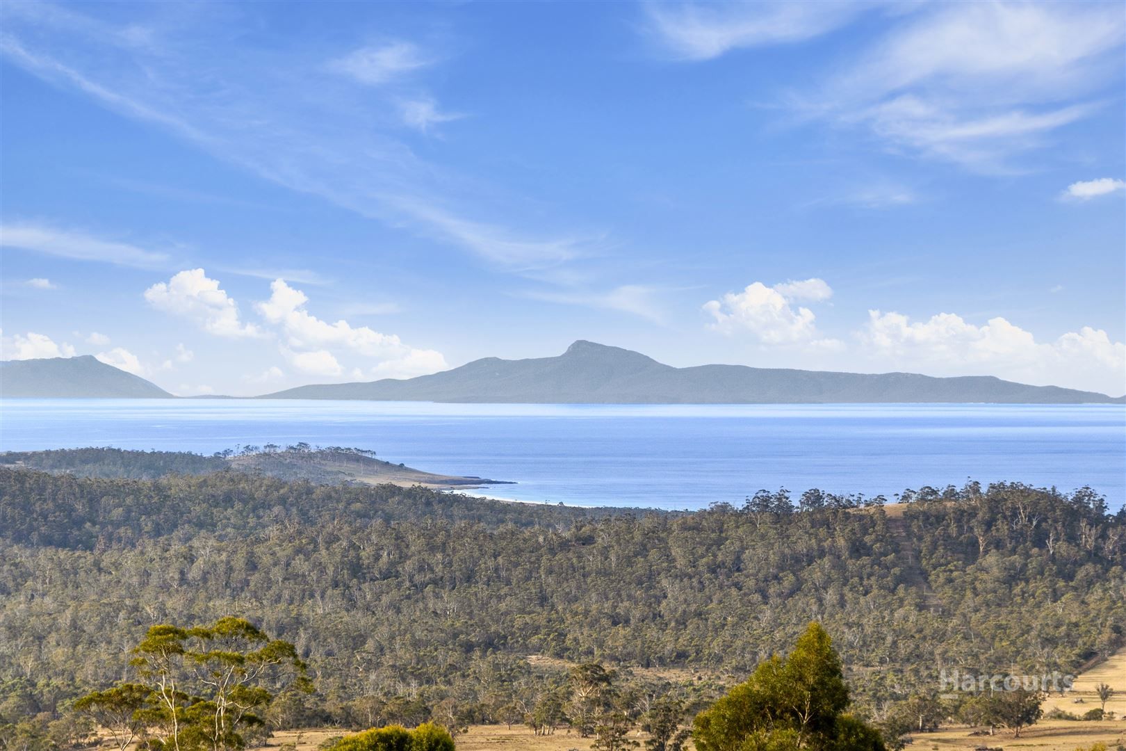 9247 Tasman Highway, Triabunna TAS 7190, Image 1