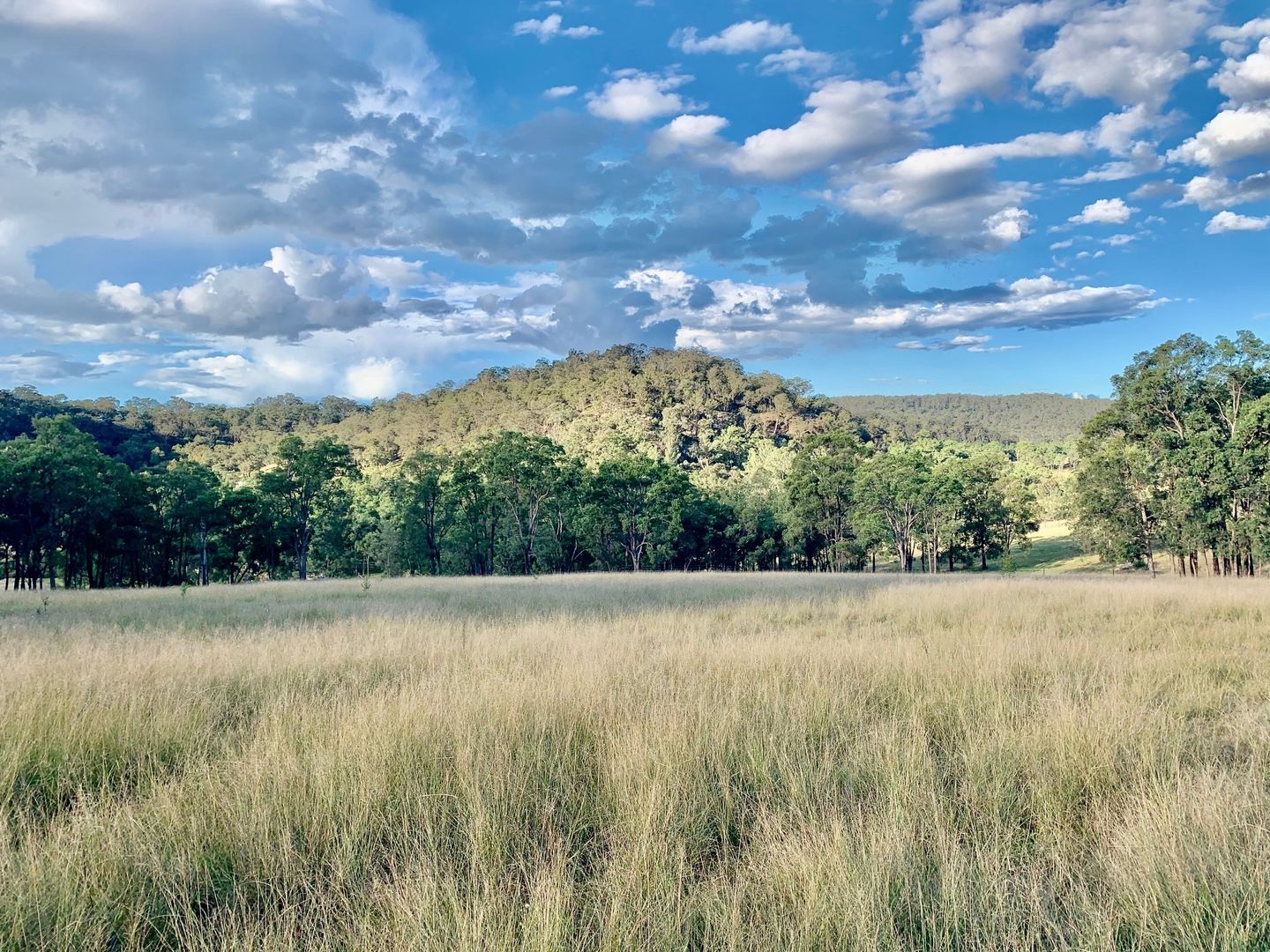 Lot 17 Putty Road, Howes Valley NSW 2330, Image 1