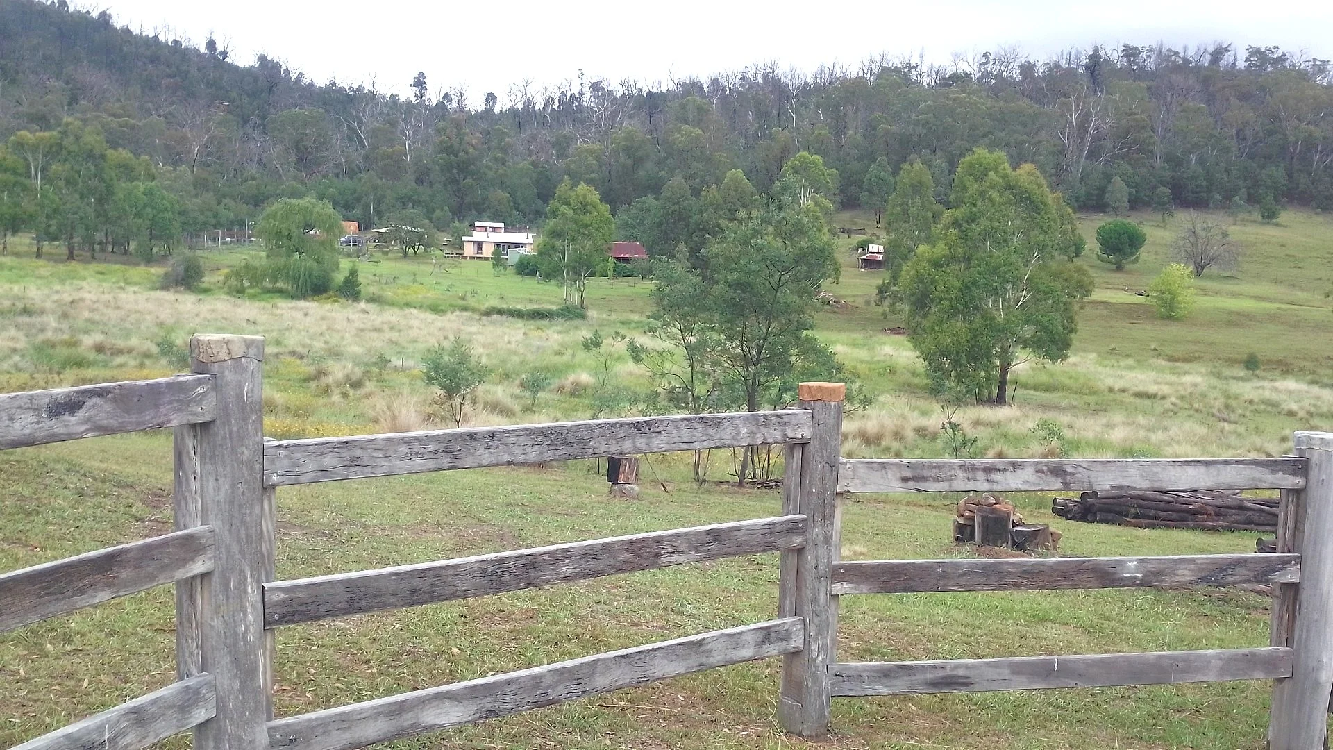 Additional image 6 of 1196 Nullo Mountain Rd, Nullo Mountain NSW 2849