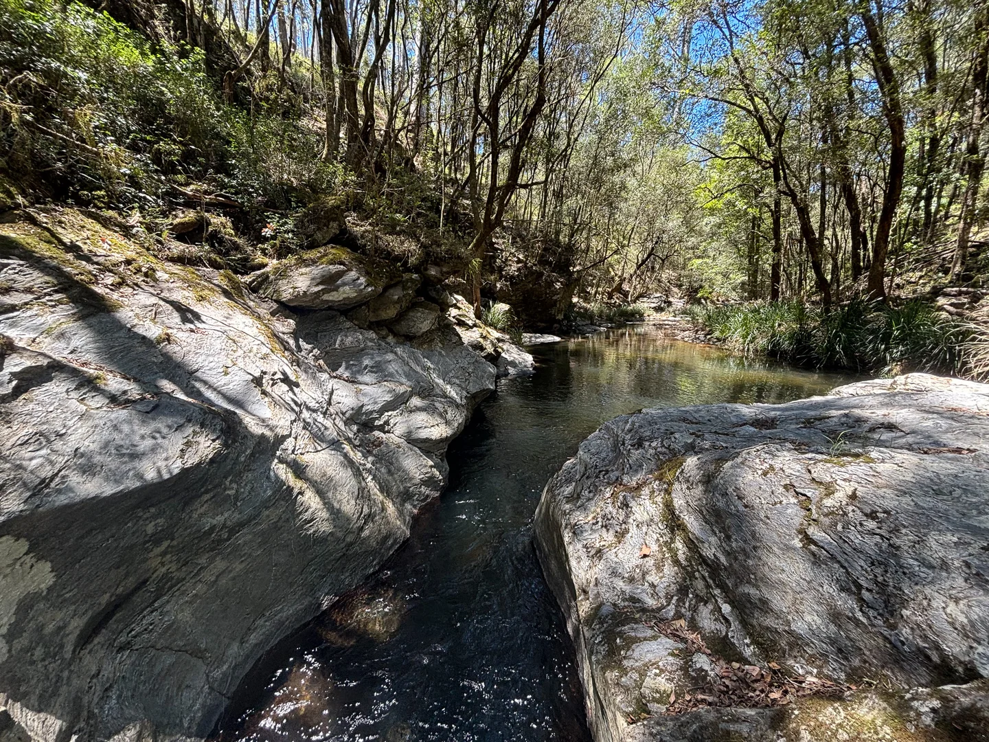 Additional image 14 of 83 Eaglehawk Trail, Yarrowitch NSW 2354