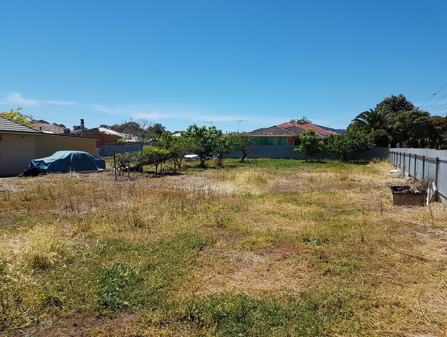 Hectorville SA 5073, Image 0