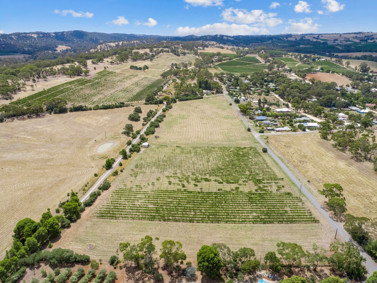 Lot 383 Sheoak Road, Watervale SA 5452, Image 2